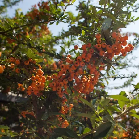 Lukic Villa Makarska