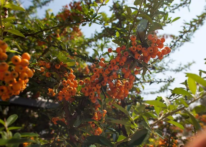 Lukic וילה מאקרסקה